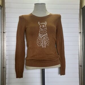 J.Crew Women's XS Brown Llama Sweater Crewneck Long Sleeve Wool Blend